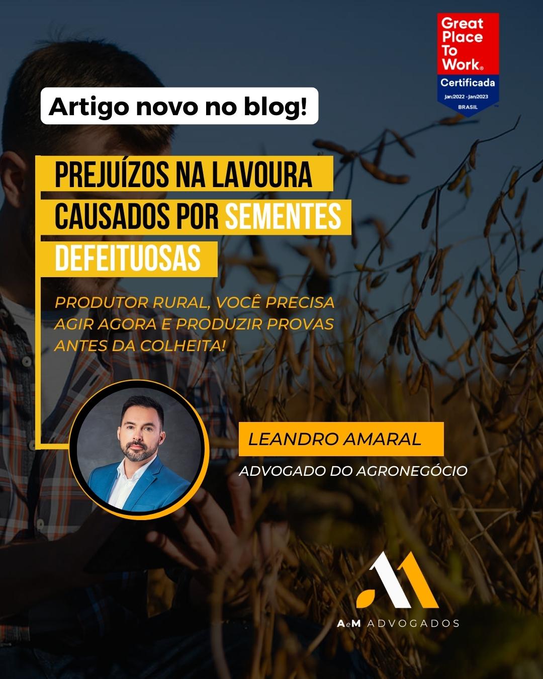 Sementes defeituosas